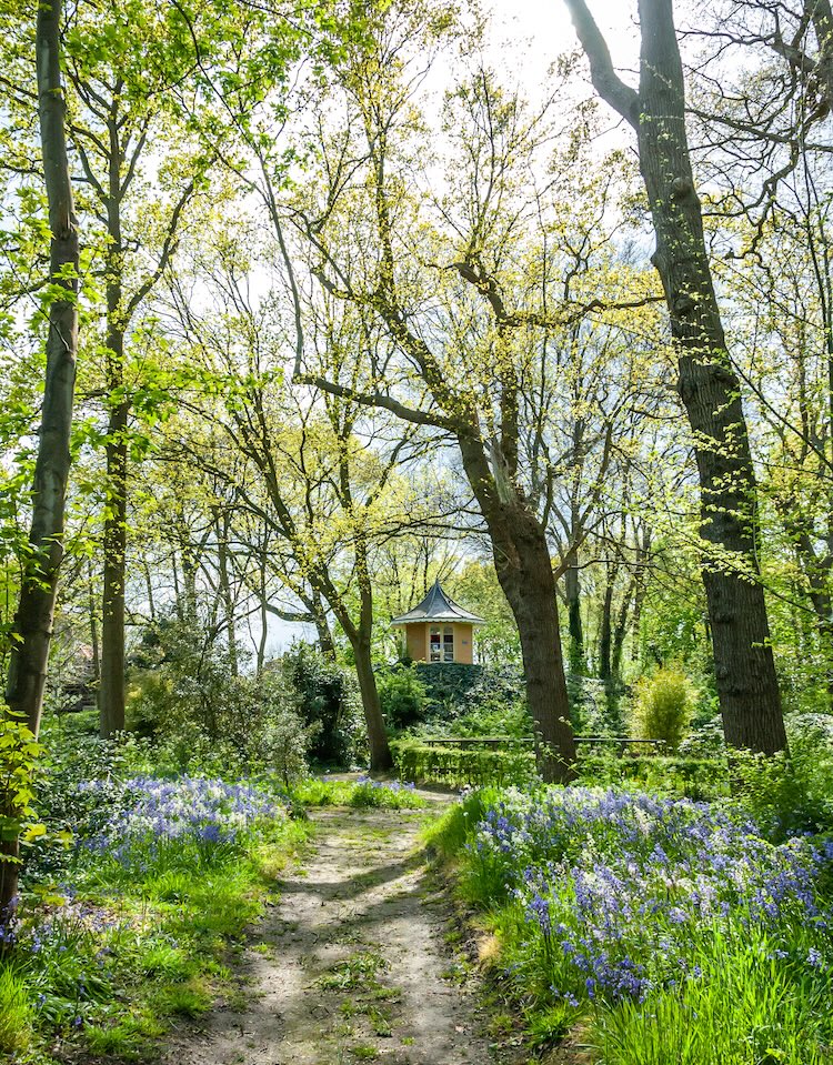 Barteld de Jong wint sKBL Fotowedstrijd met betoverend beeld van Landgoed Calorama